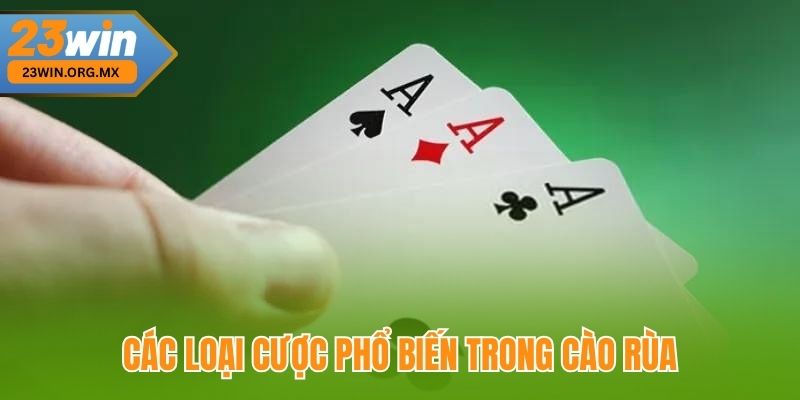 Cào Rùa – Hướng Dẫn Toàn Tập Và Chiến Thuật Chơi Hiệu Quả Các Loại Cược Phổ Biến Trong Cào Rùa