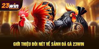 Khái Quát Về Đá Gà 23WIN
