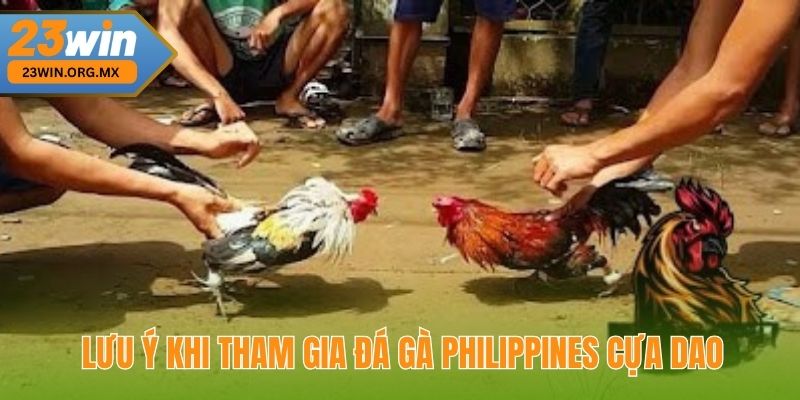 Lưu ý quan trọng khi tham gia đá gà Philippines cựa dao