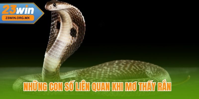 Mơ Thấy Rắn – Có Ý Nghĩa Gì, Điềm Báo Và Con Số Liên Quan Tại 23WIN Những Con Số Liên Quan Khi Mơ Thấy Rắn Tại 23WIN