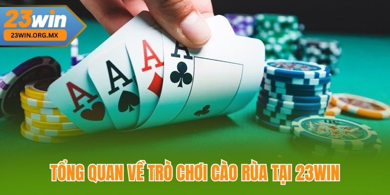 Cào Rùa – Hướng Dẫn Toàn Tập Và Chiến Thuật Chơi Hiệu Quả Tổng Quan Về Trò Chơi Cào Rùa Tại 23Win