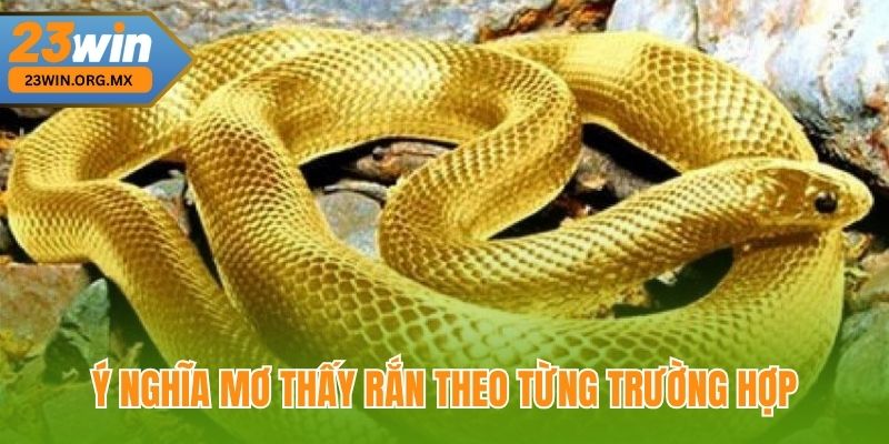Mơ Thấy Rắn – Có Ý Nghĩa Gì, Điềm Báo Và Con Số Liên Quan Tại 23WIN Ý Nghĩa Mơ Thấy Rắn Theo Từng Trường Hợp